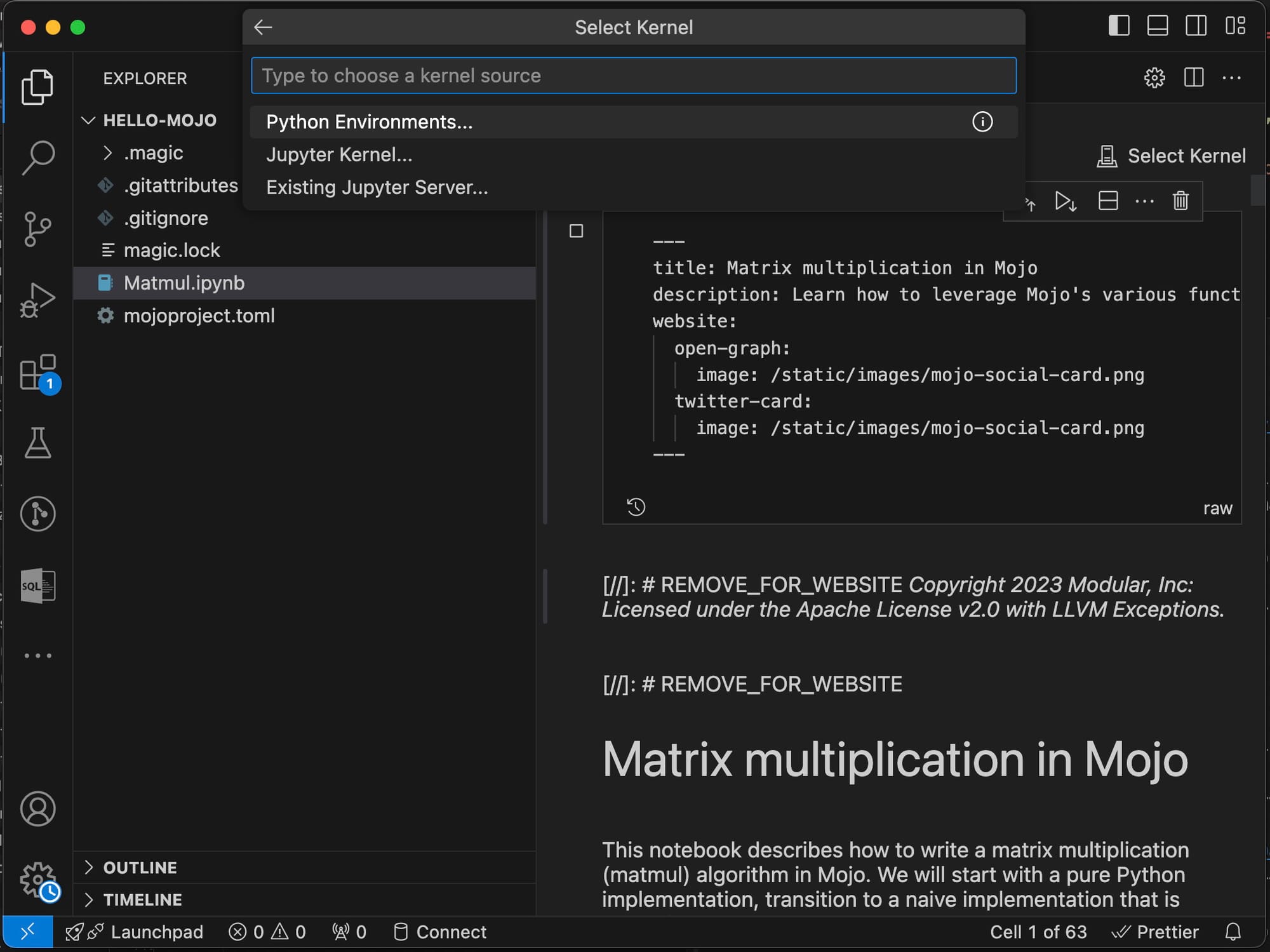 VS Code failing to run the Jupyter Notebook because the Mojo Kernel was not installed.